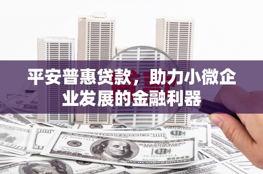浔阳平安普惠贷款，助力小微企业发展的金融利器