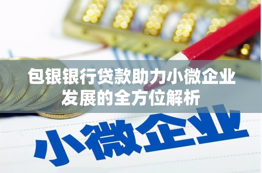 浔阳包银银行贷款助力小微企业发展的全方位解析