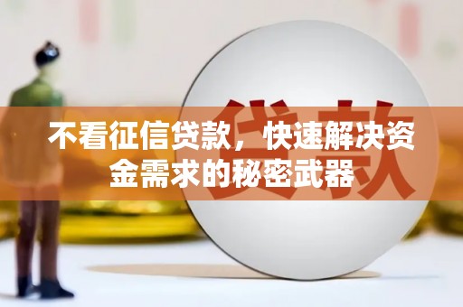 浔阳不看征信贷款，快速解决资金需求的秘密武器