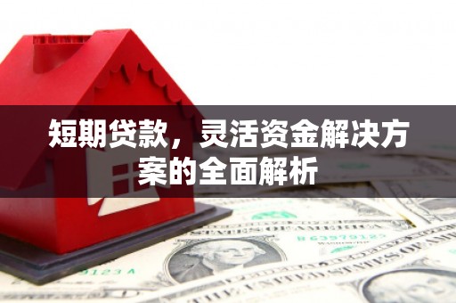 浔阳短期贷款，灵活资金解决方案的全面解析