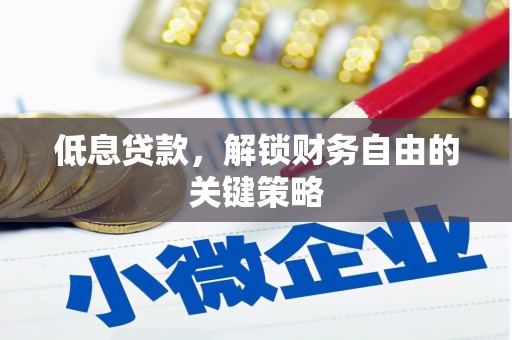 浔阳低息贷款，解锁财务自由的关键策略