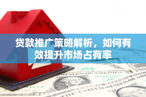 浔阳贷款推广策略解析，如何有效提升市场占有率