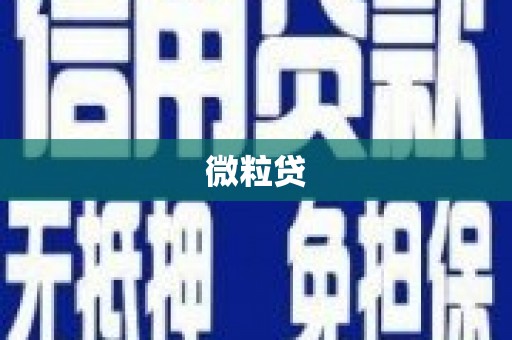 浔阳微粒贷