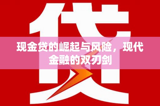 浔阳现金贷的崛起与风险，现代金融的双刃剑