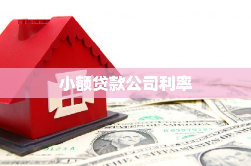 浔阳小额贷款公司利率