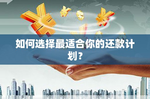 浔阳如何选择最适合你的还款计划？
