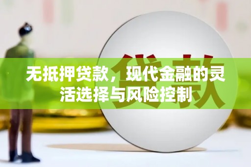浔阳无抵押贷款，现代金融的灵活选择与风险控制