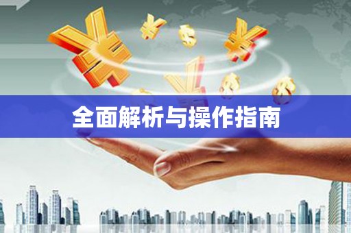 浔阳全面解析与操作指南