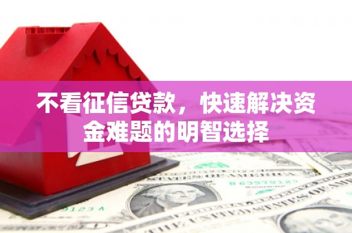 浔阳不看征信贷款，快速解决资金难题的明智选择