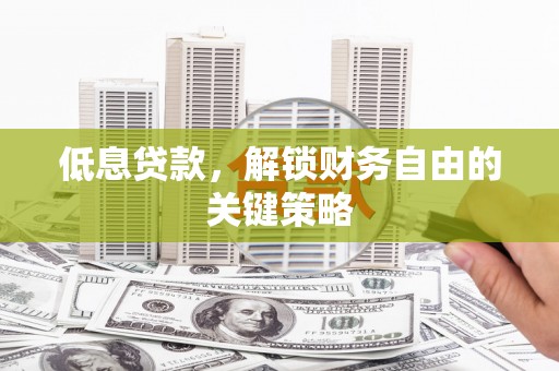 浔阳低息贷款，解锁财务自由的关键策略