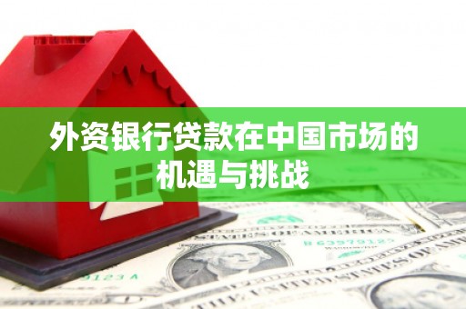 浔阳外资银行贷款在中国市场的机遇与挑战