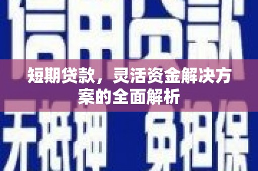 浔阳短期贷款，灵活资金解决方案的全面解析