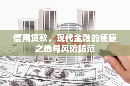 浔阳信用贷款，现代金融的便捷之选与风险防范