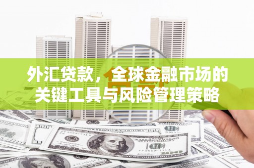 浔阳外汇贷款，全球金融市场的关键工具与风险管理策略