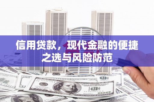 浔阳信用贷款，现代金融的便捷之选与风险防范