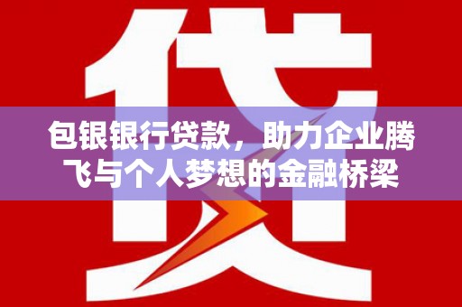 浔阳包银银行贷款，助力企业腾飞与个人梦想的金融桥梁