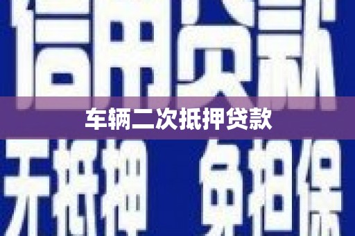 浔阳车辆二次抵押贷款