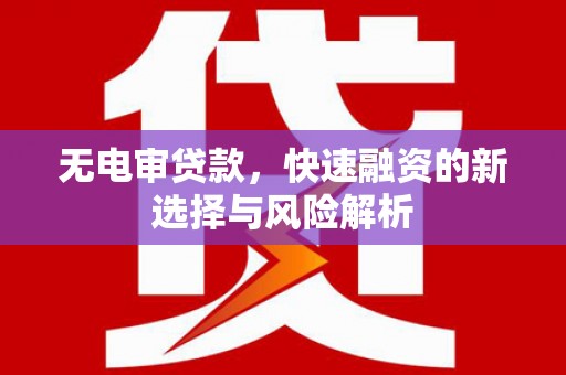 浔阳无电审贷款，快速融资的新选择与风险解析