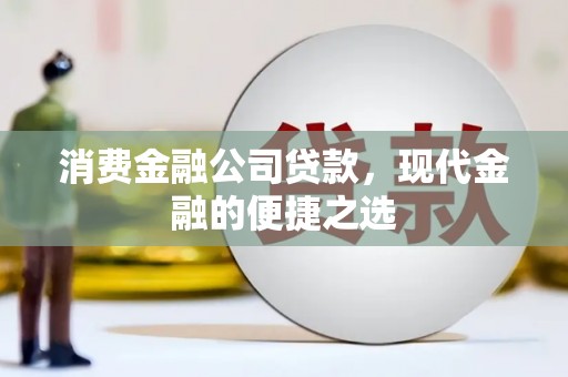 浔阳消费金融公司贷款，现代金融的便捷之选