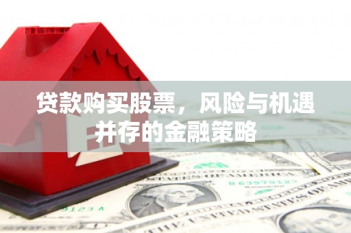 浔阳贷款购买股票，风险与机遇并存的金融策略