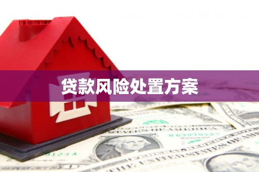 浔阳贷款风险处置方案