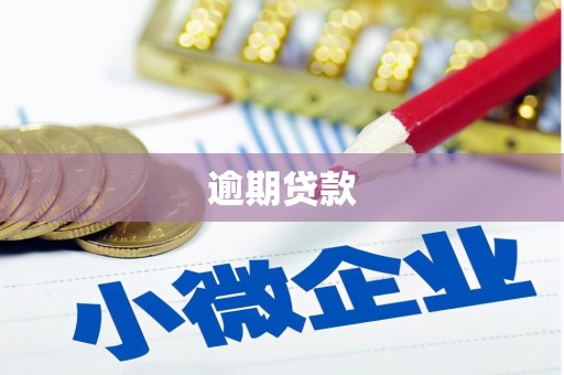 浔阳逾期贷款