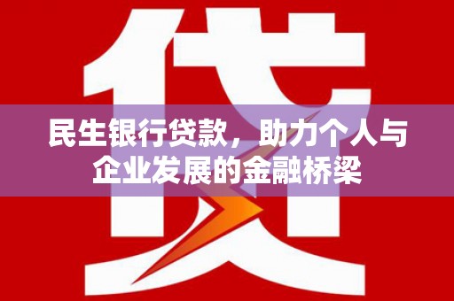 浔阳民生银行贷款，助力个人与企业发展的金融桥梁