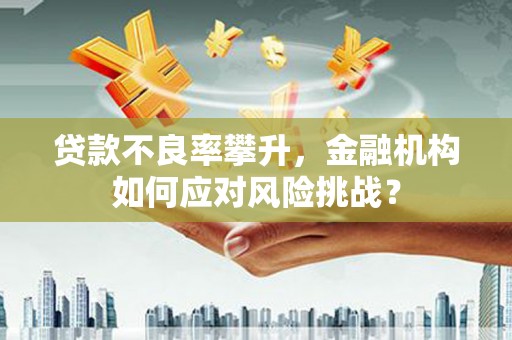 浔阳贷款不良率攀升，金融机构如何应对风险挑战？