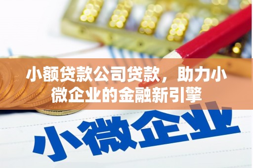 浔阳小额贷款公司贷款，助力小微企业的金融新引擎