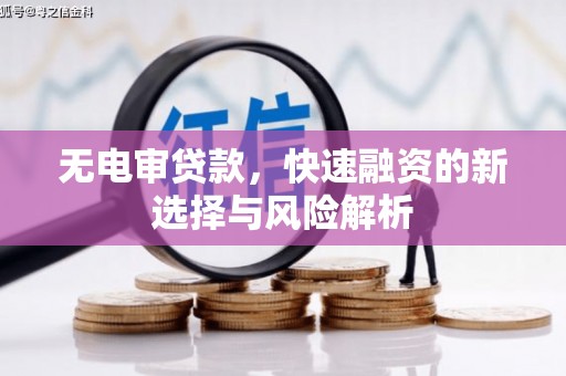 浔阳无电审贷款，快速融资的新选择与风险解析