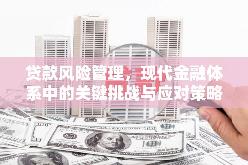 浔阳贷款风险管理，现代金融体系中的关键挑战与应对策略