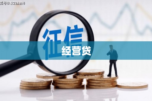 浔阳经营贷