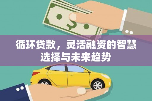 浔阳循环贷款，灵活融资的智慧选择与未来趋势
