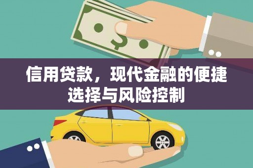 浔阳信用贷款，现代金融的便捷选择与风险控制