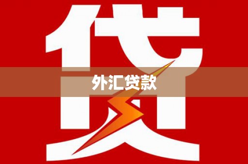 浔阳外汇贷款