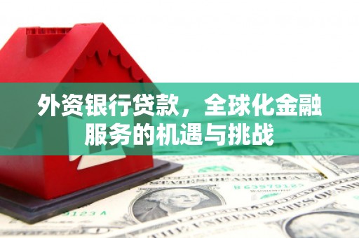 浔阳外资银行贷款，全球化金融服务的机遇与挑战