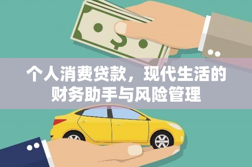 浔阳个人消费贷款，现代生活的财务助手与风险管理