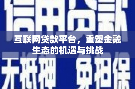 浔阳互联网贷款平台，重塑金融生态的机遇与挑战