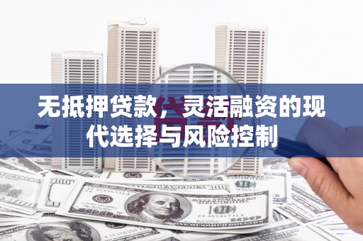 浔阳无抵押贷款，灵活融资的现代选择与风险控制