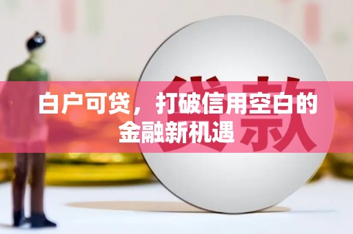 浔阳白户可贷，打破信用空白的金融新机遇