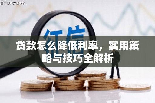 浔阳贷款怎么降低利率，实用策略与技巧全解析