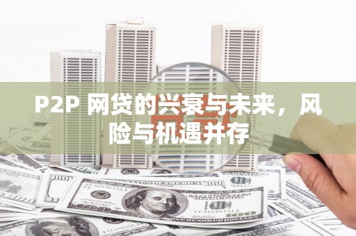 浔阳P2P 网贷的兴衰与未来，风险与机遇并存
