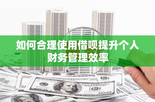 浔阳如何合理使用借呗提升个人财务管理效率