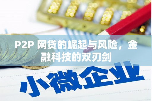 浔阳P2P 网贷的崛起与风险，金融科技的双刃剑