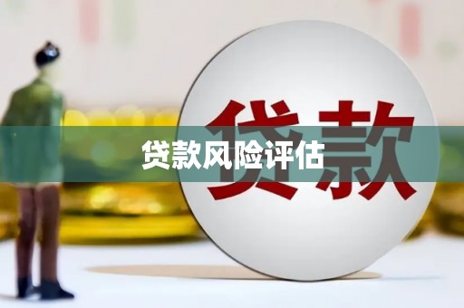 浔阳贷款风险评估