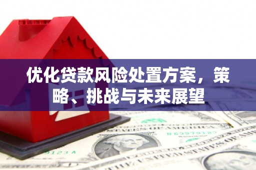 浔阳优化贷款风险处置方案，策略、挑战与未来展望