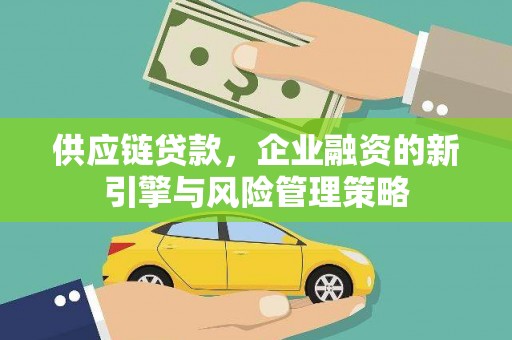 浔阳供应链贷款，企业融资的新引擎与风险管理策略