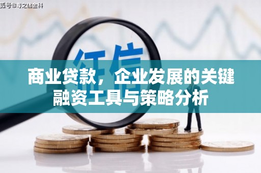 浔阳商业贷款，企业发展的关键融资工具与策略分析