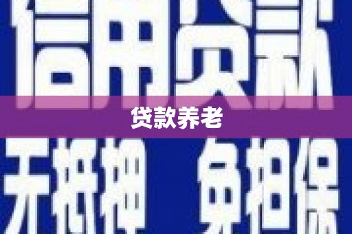 浔阳贷款养老