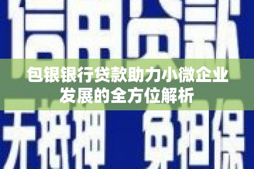 浔阳包银银行贷款助力小微企业发展的全方位解析